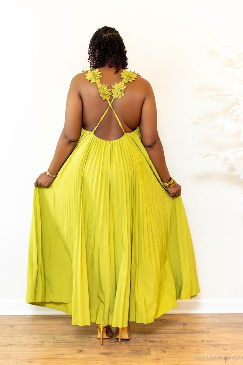 Limelight Maxi Dress (Reg & Plus Sizes)
